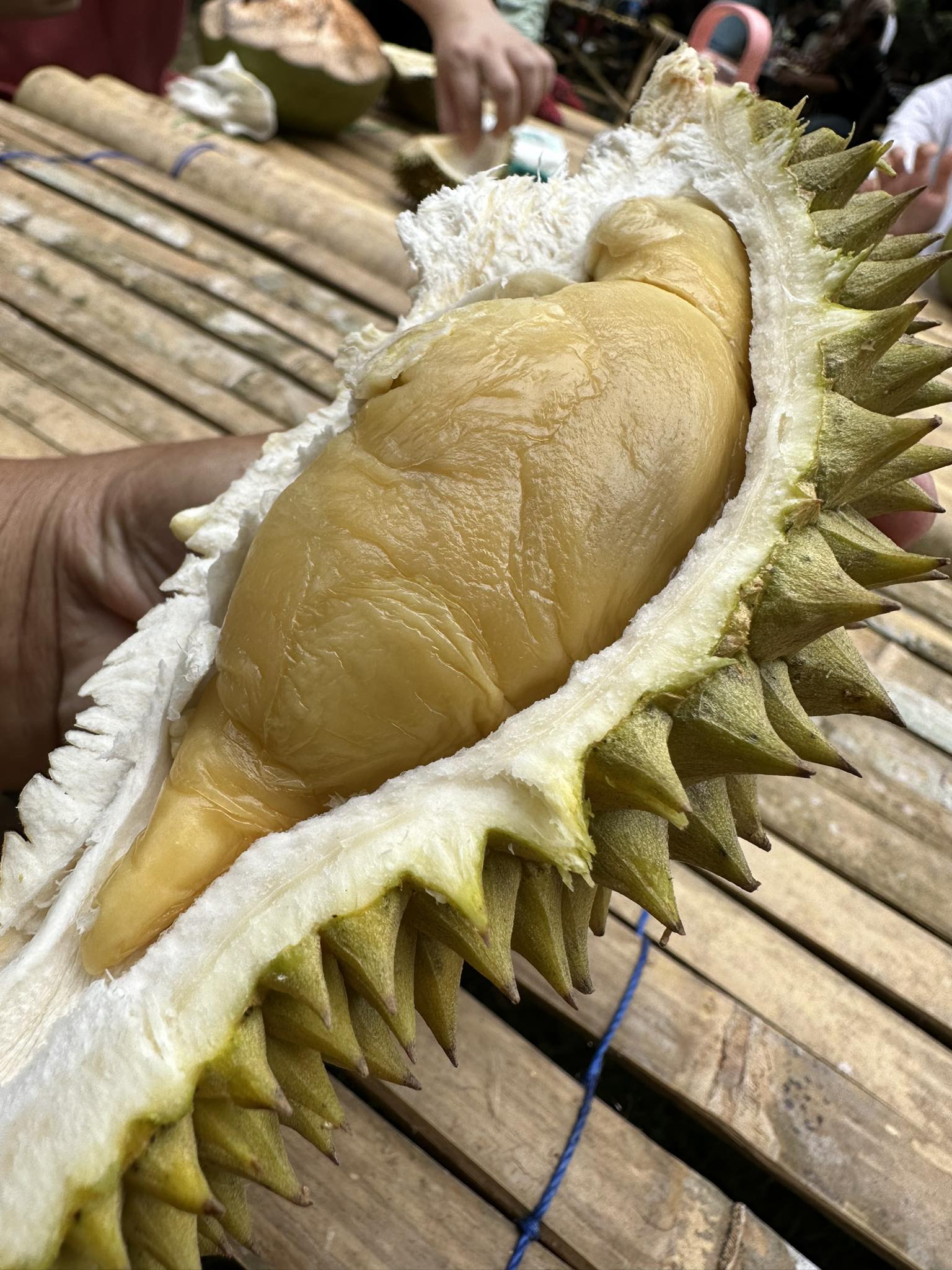 Durian